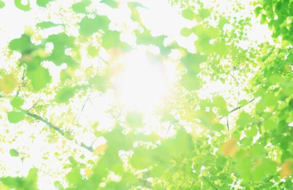 廿日市市でタイヤ組み替えなら！アンリミテッドワークスまでお気軽にお問い合わせください。